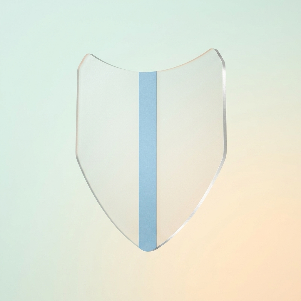 20 parches invisibles para el  - Ideal Sneaker Care reseña y precio